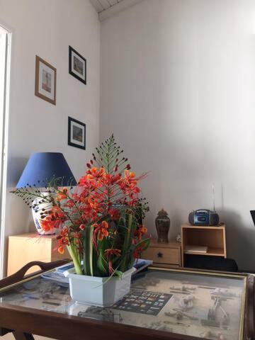 Ravissant Duplex A Saint Francois公寓 外观 照片